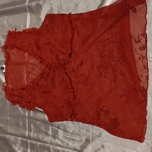 🐸Reitman's Sheer Blouse